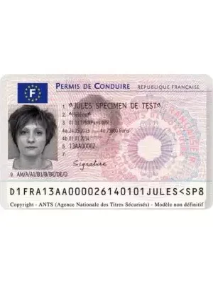 FRENCH DRIVER’S LICENSE