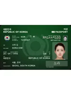 SOUTH KOREAN ID CARDS