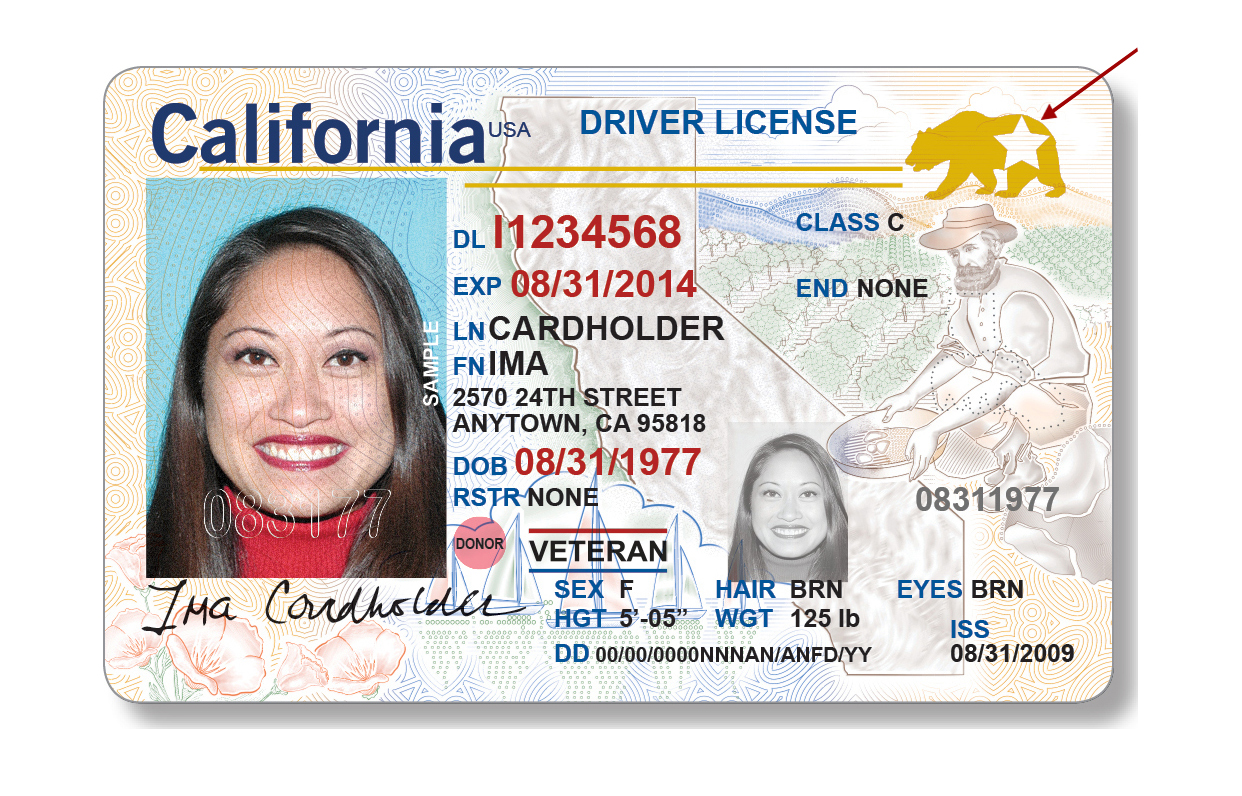 Buy California id